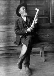 histoire de l'ostéopathie